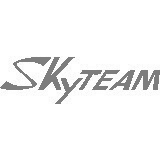Skyteam logo